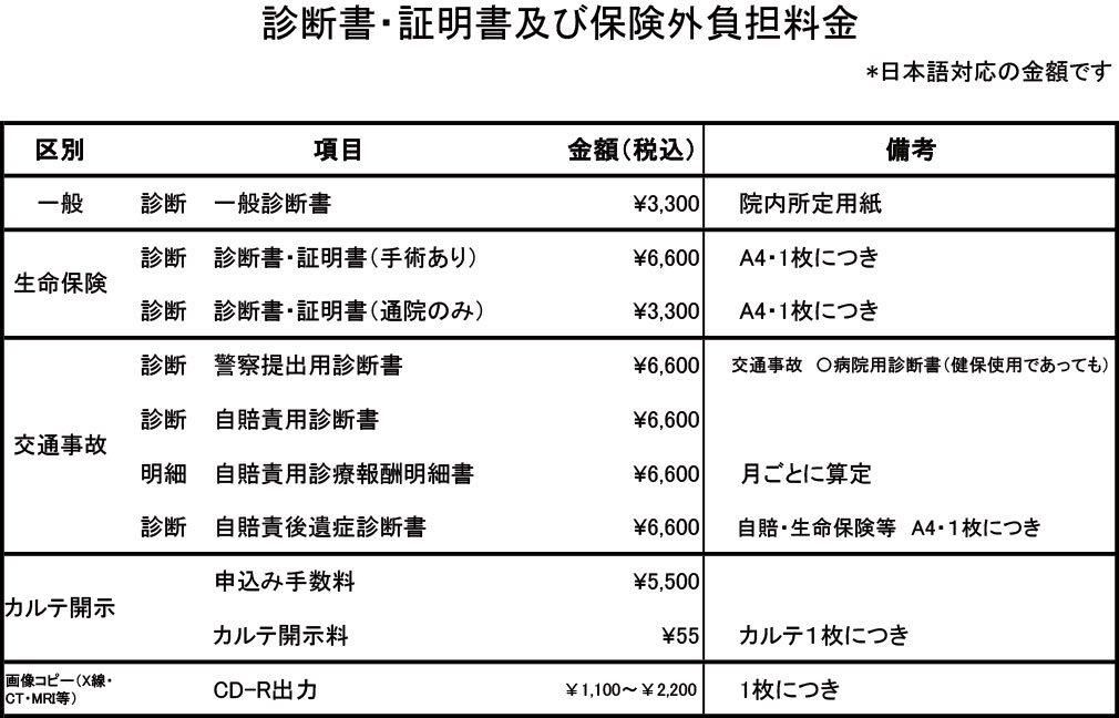 診断書・証明書及び保険外負担料金